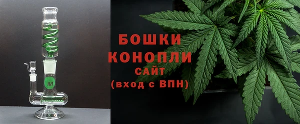 соль ск Козельск