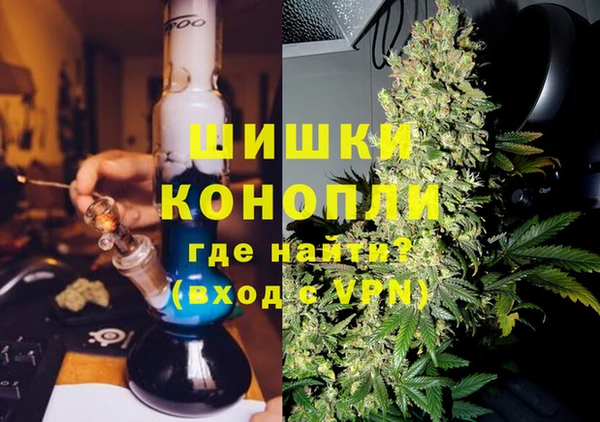 соль ск Козельск