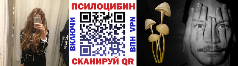 наркота  Киренск  Галлюциногенные грибы Psilocybe 